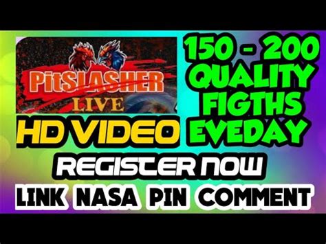pitslasher live